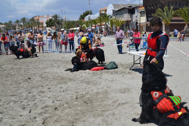 San Pedro se une a la celebración del Día del Perro - 2, Foto 2