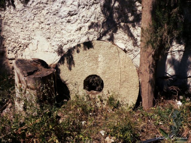 IU-Verdes Lorca pide al Ayuntamiento que adquiera el cortijo del Escarambrujo para crear un jardín botánico y un museo etnográfico y del agua - 4, Foto 4