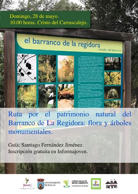 Excursión al Barranco de la Regidora de Bullas - 1, Foto 1