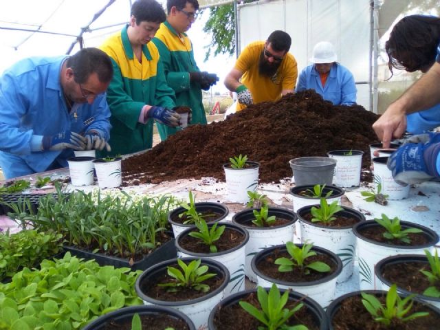 Day Centers for Disability promote the Gardening Workshop thanks to the collaboration of the local company "Viveros Bermejo", Foto 1