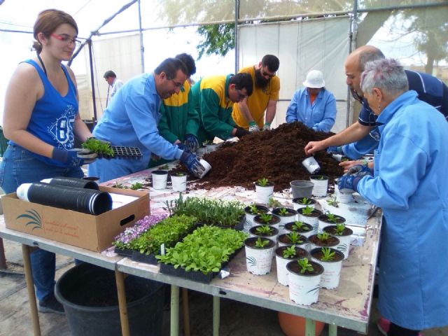 Los Centros de Día para la Discapacidad impulsan el Taller de Jardinería gracias a la colaboración de la empresa local Viveros Bermejo, Foto 2