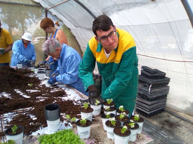 Day Centers for Disability promote the Gardening Workshop thanks to the collaboration of the local company "Viveros Bermejo", Foto 3