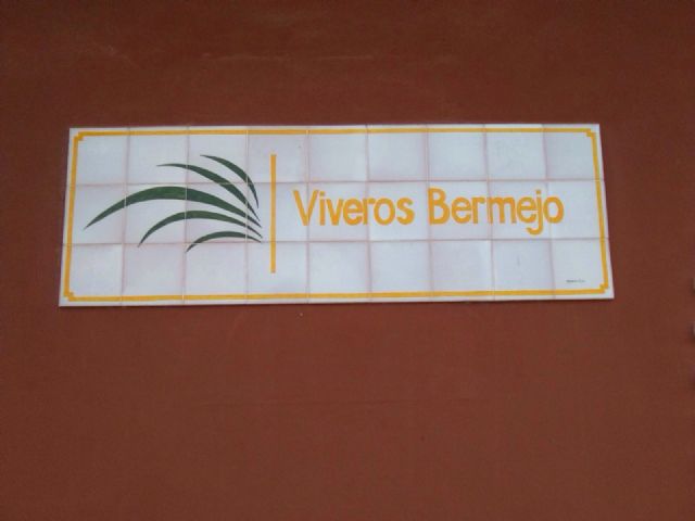 Day Centers for Disability promote the Gardening Workshop thanks to the collaboration of the local company "Viveros Bermejo", Foto 5