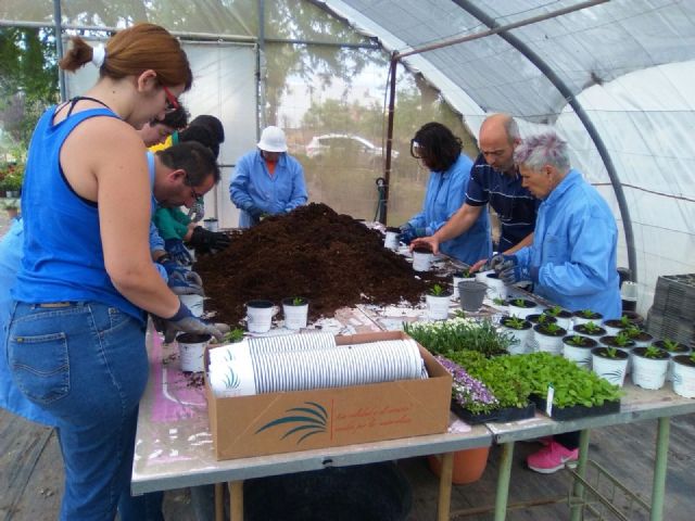 Day Centers for Disability promote the Gardening Workshop thanks to the collaboration of the local company "Viveros Bermejo", Foto 6