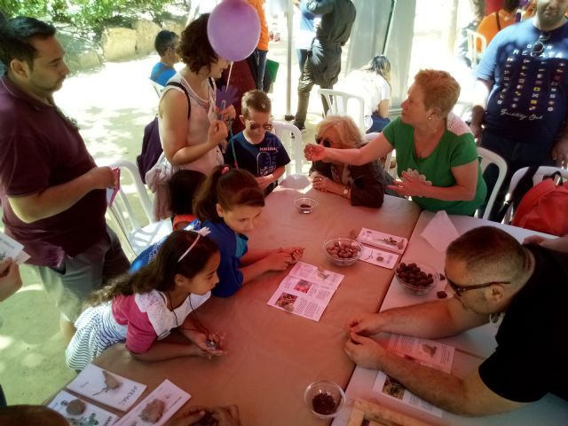 AFEMAC participa en el Día Internacional de la Familia 2018 - 1, Foto 1