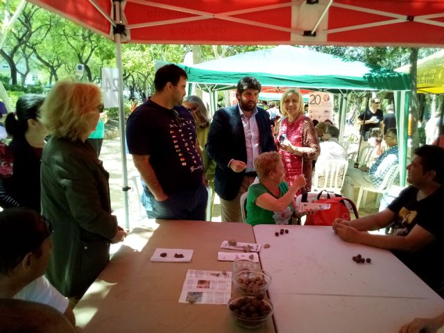 AFEMAC participa en el Día Internacional de la Familia 2018 - 2, Foto 2