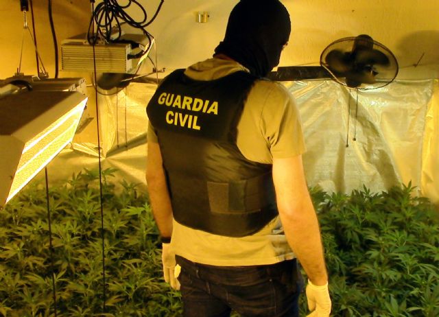 La Guardia Civil se incauta de más de 2.000 plantas de marihuana en dos chalets de Molina de Segura - 1, Foto 1