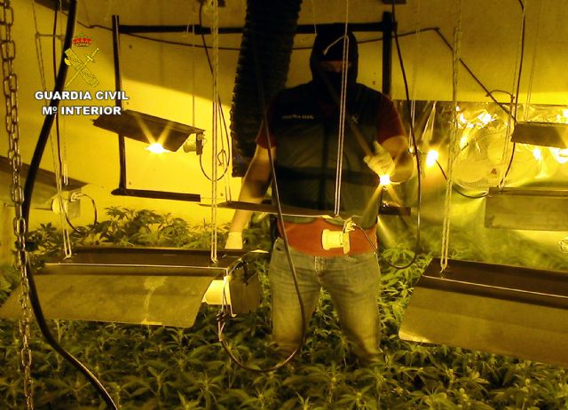 La Guardia Civil se incauta de más de 2.000 plantas de marihuana en dos chalets de Molina de Segura - 2, Foto 2