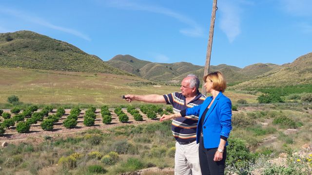 Arrancan y roban un kilómetro de tendido eléctrico en Morata y fuerzan una veintena de casetas agrícolas en la pedanía de Ramonete - 1, Foto 1