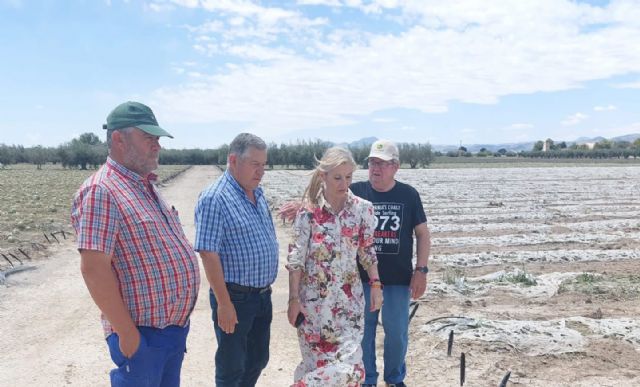 VOX Lorca pedirá que se convoque un Pleno Extraordinario para valorar vías de ayuda a los agricultores afectados por la granizada - 1, Foto 1