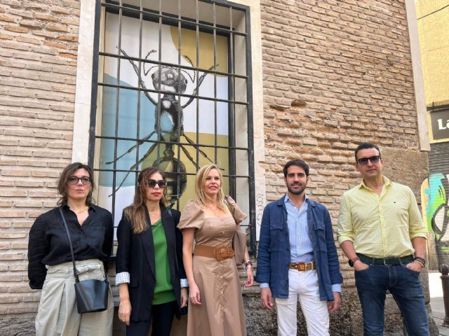 Las 14 ventanas del Palacio de Santa Quiteria lucen la nueva exposición ´Insecta´ - 1, Foto 1