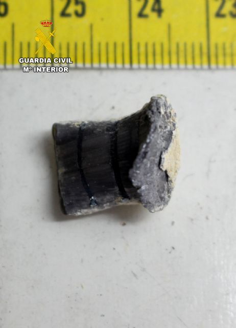 La Guardia Civil detiene a tres personas por efectuar disparos en San Javier y Los Alcázares - 3, Foto 3