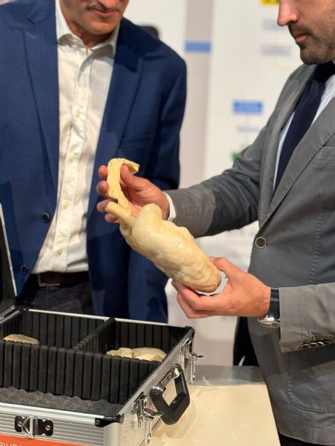 El Museo de la Ciencia y el Agua acoge la exposición final con órganos animales plastinados del Proyecto Europeo 'ORGANKITS' - 4, Foto 4
