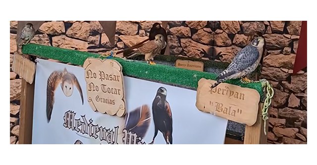 Denuncian que el Ayuntamiento de Alcantarilla incumple su propia ordenanza al permitir la exhibición de rapaces en un mercado medieval - 1, Foto 1
