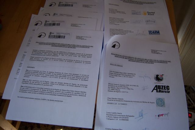 Piden que se implante una política de SACRIFCIO CERO en Cieza - 1, Foto 1