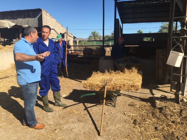 Cercanía, compromiso y trabajo a favor de todos los lorquinos - 3, Foto 3