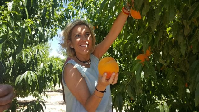 El IMIDA y Novamed estudian nuevas variedades de fruta de hueso en Abarán - 1, Foto 1