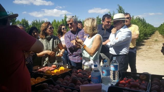 El IMIDA y Novamed estudian nuevas variedades de fruta de hueso en Abarán - 3, Foto 3