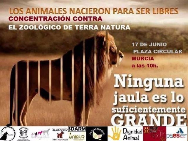 Cambiemos Murcia apoya la concentración de mañana contra la exhibición de animales de Terra Natura - 1, Foto 1