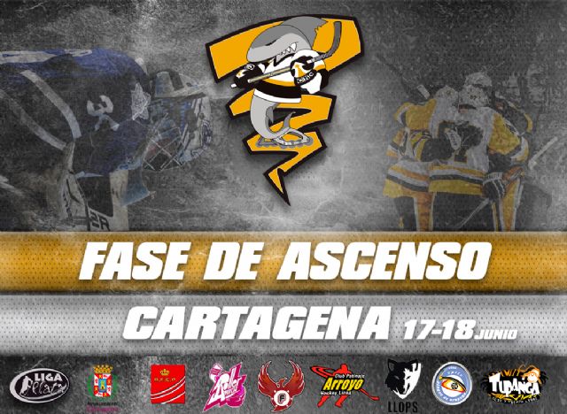 El Cartagena Tiburones compite por ascender a la Liga Nacional Plata de Hockey Linea - 1, Foto 1