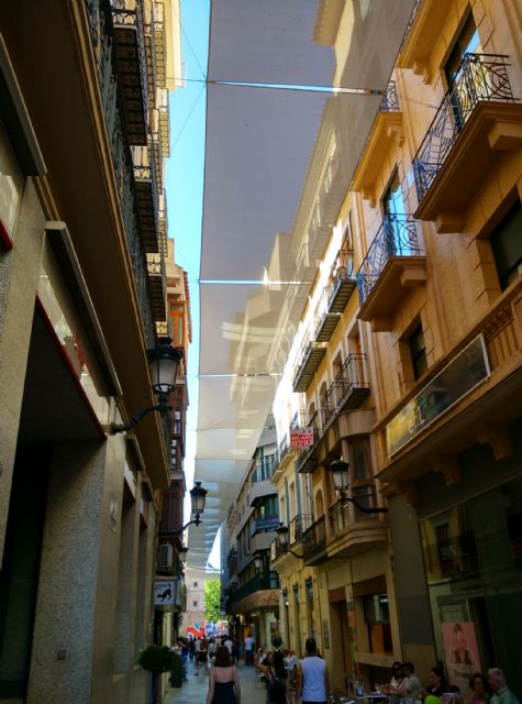 Ciudadanos recrimina al Gobierno municipal el incumplimiento del Plan de Sombra para Cartagena aprobado por el Pleno - 1, Foto 1