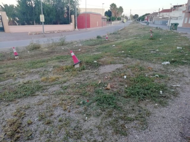 They carry out cleaning work on Carmen Conde street under the mayors office in urban hygiene to remove dirt and insect pests, Foto 3