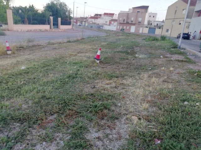 They carry out cleaning work on Carmen Conde street under the mayors office in urban hygiene to remove dirt and insect pests, Foto 4