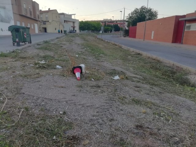 They carry out cleaning work on Carmen Conde street under the mayors office in urban hygiene to remove dirt and insect pests, Foto 5