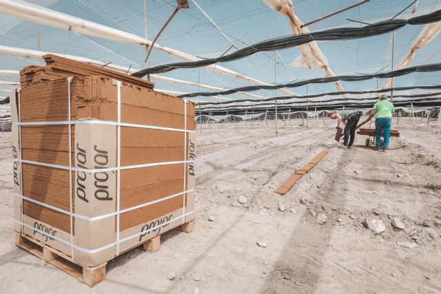 Projar inicia un ensayo para maximizar las ventajas de incorporar fibra de coco al suelo - 1, Foto 1