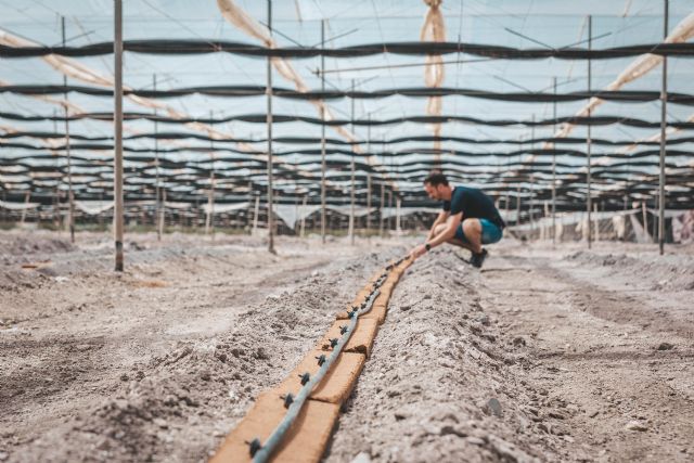 Projar inicia un ensayo para maximizar las ventajas de incorporar fibra de coco al suelo - 2, Foto 2