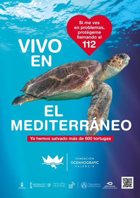 San Pedro del Pinatar se suma a la campaña Tortugas en el Mediterráneo de la Fundación Oceanogràfic - 1, Foto 1
