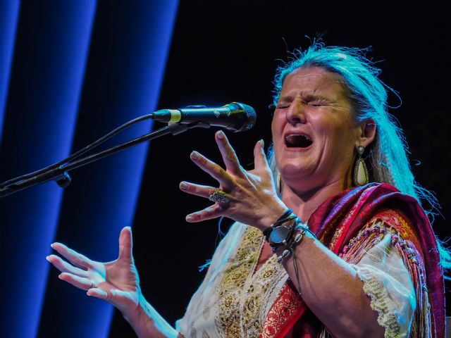 El Festival de Lo Ferro presenta su programación en la Asamblea Regional de Murcia - 3, Foto 3