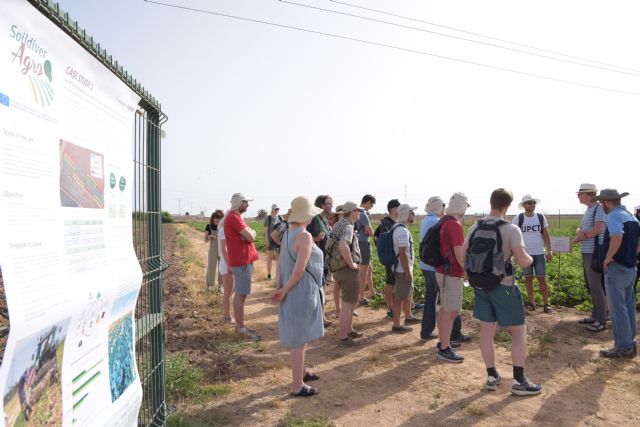 Investigadores de siete países europeos visitan el cultivo experimental que rota melón, patata y brócoli para reducir fertilizantes y ciudar el suelo - 1, Foto 1