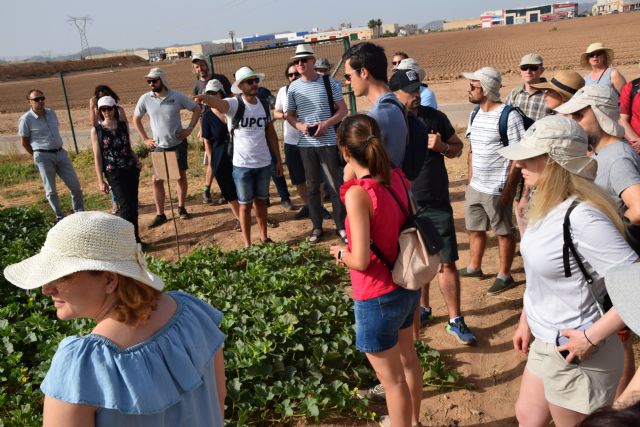 Investigadores de siete países europeos visitan el cultivo experimental que rota melón, patata y brócoli para reducir fertilizantes y ciudar el suelo - 2, Foto 2