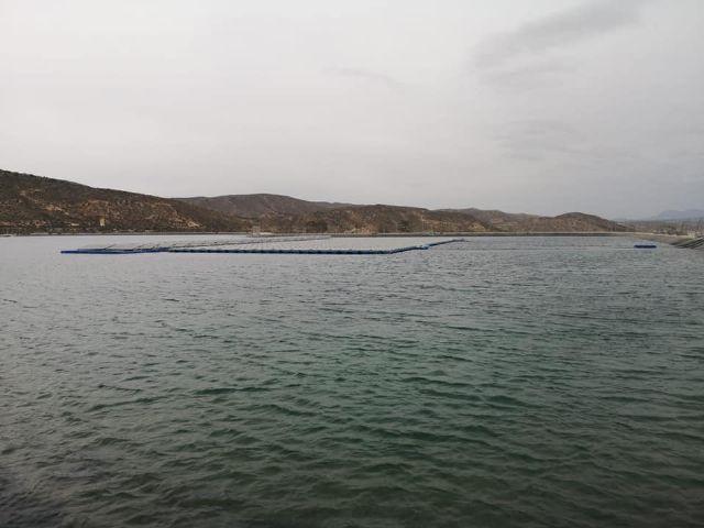 El PSOE de Puerto Lumbreras considera fundamental alcanzar un acuerdo para la protección de los recursos hídricos de la región - 1, Foto 1