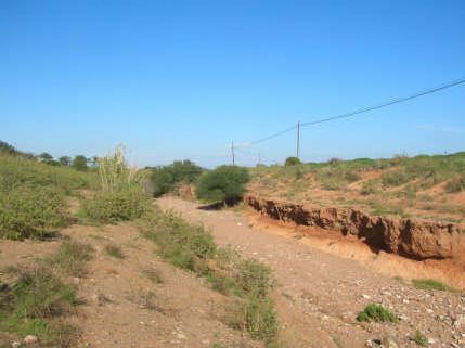 Ramblas de la sierra minera de Cartagena - 1, Foto 1