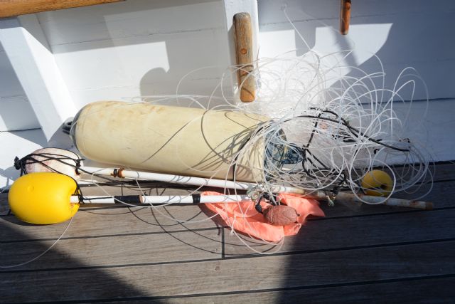 Mejora del conocimiento de tortugas marinas y riesgos en las costa Este del Mediterráneo español - 3, Foto 3