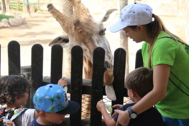 Terra Natura Murcia inicia la temporada estival con su escuela de verano y campus de adolescentes - 2, Foto 2