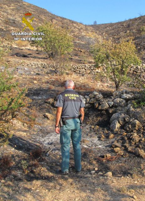 La Guardia Civil investiga a una persona por provocar un incendio en el Cerro del Oro de Jumilla - 3, Foto 3
