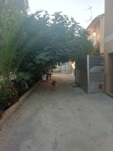 IU-Verdes Lorca preguntará en el pleno por la intención de concluir la regeneración urbana de la alameda Virgen de las Huertas - 1, Foto 1