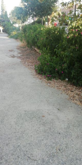 IU-Verdes Lorca preguntará en el pleno por la intención de concluir la regeneración urbana de la alameda Virgen de las Huertas - 2, Foto 2