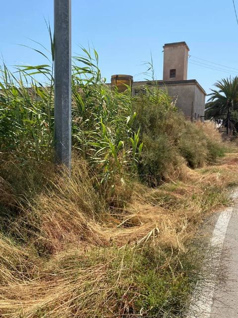 PP: El nivel de degradación y abandono causado por el alcalde del PSOE en el municipio provoca que los propios vecinos desbrocen y limpien sus caminos - 1, Foto 1