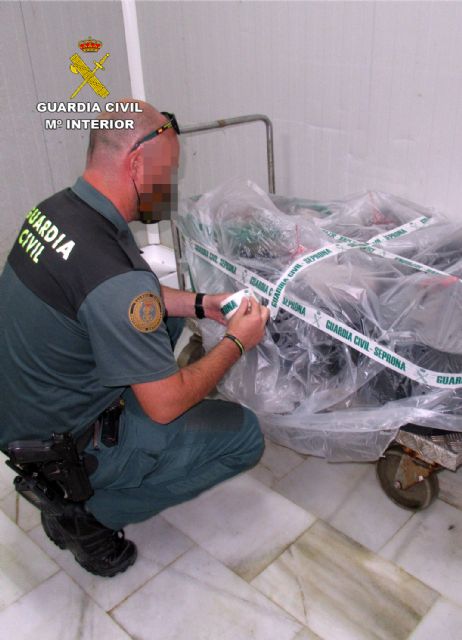 La Guardia Civil detecta la pesca ilícita de cerca de 200 kilos de pulpo en Águilas - 2, Foto 2