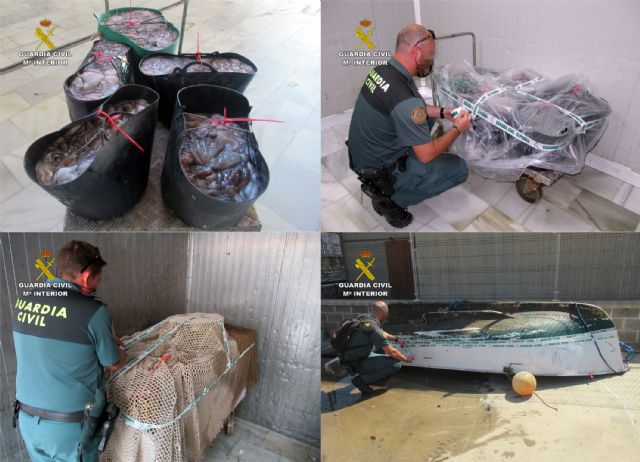 La Guardia Civil detecta la pesca ilícita de cerca de 200 kilos de pulpo en Águilas - 3, Foto 3