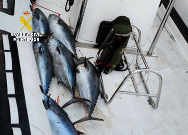 La Guardia Civil detecta la pesca ilegal en aguas de El Gorguel-Cartagena - 2, Foto 2