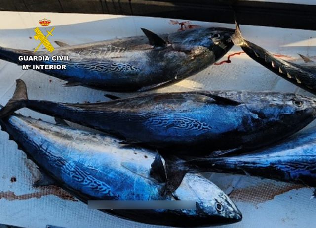 La Guardia Civil detecta la pesca ilegal en aguas de El Gorguel-Cartagena - 4, Foto 4