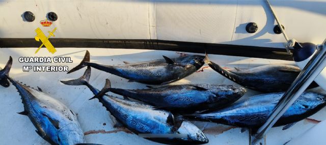 La Guardia Civil detecta la pesca ilegal en aguas de El Gorguel-Cartagena - 5, Foto 5