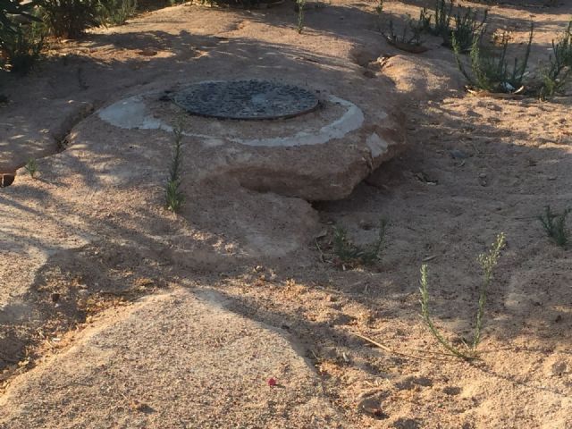 El PSOE plantea al PP adelantar la revisión del contrato del servicio de mantenimiento de jardines y arbolado del municipio - 2, Foto 2