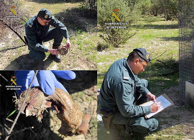 La Guardia Civil investiga a dos personas por el uso ilegal de venenos - 1, Foto 1