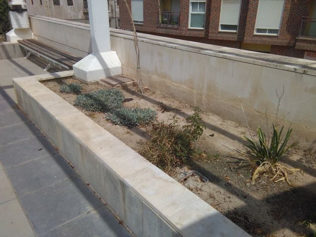 El PSOE denuncia el vergonzoso estado de abandono en el que se encuentran los parques y jardines del Barrio de San Diego - 1, Foto 1